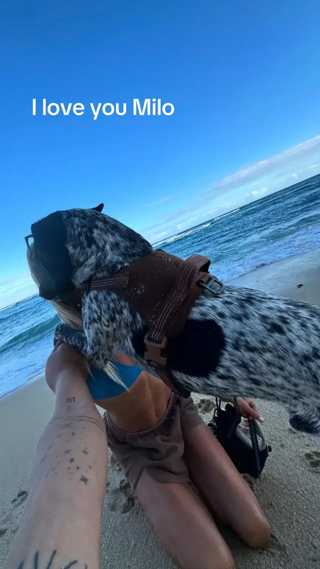 my best friend 