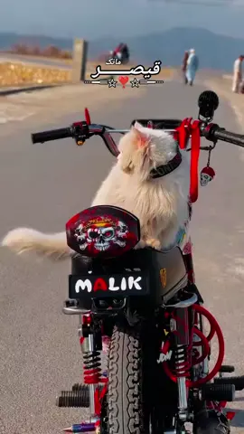 auto bikers #biker #foryoupage❤️❤️ #pakistnidresses #original #tiktokindia 