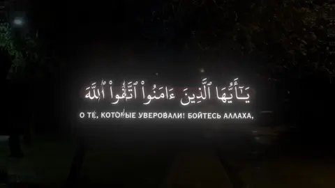 чтец: махди аш-шишани сура: аль-хашр аяты: 18/20 #коран #quran #القران_الكريم 