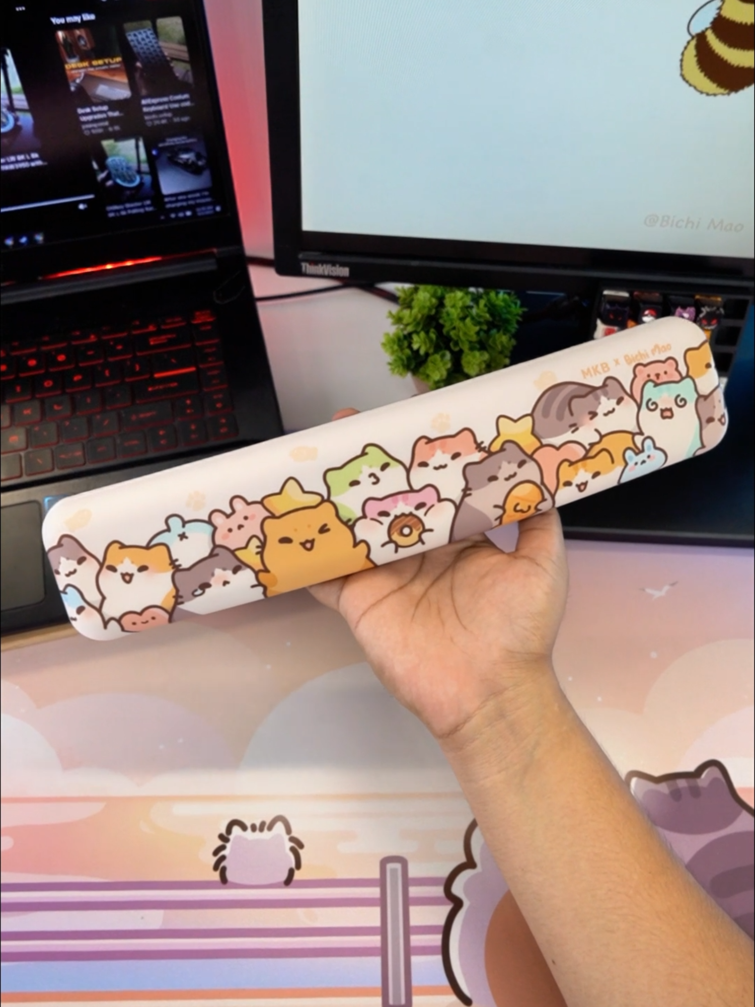 It's not just a wrist rest, it's the MKB x Bichi Mao Many Mao Wrist Rest 😤 #mkb #mkbcustomkeyboard #keyboard #mouse #customkeyboard #mechanicalkeyboard #keycap #switches #deskmat #thankyou #kl #kualalumpur #desksetup #wristrest