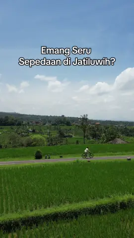absen yang suka sepedaan! Enjoy the Moment Bersepeda di Jatiluwih, angin sepoi-sepoi dan pemandangan sawah hijau jadi teman perjalanan. 🌾☀️#Jatiluwih #Bali #balitravel 