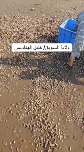 #منشن_شخص_تبي_يشوف_المقطع #بطولة #عمان🇴🇲_قطر🇶🇦_البحرين🇧🇭_الكويت🇸🇩 #منشن_شخص_تبي_يشوف_المقطع #عمان🇴🇲_قطر🇶🇦_البحرين🇧🇭_الكويت🇸🇩 