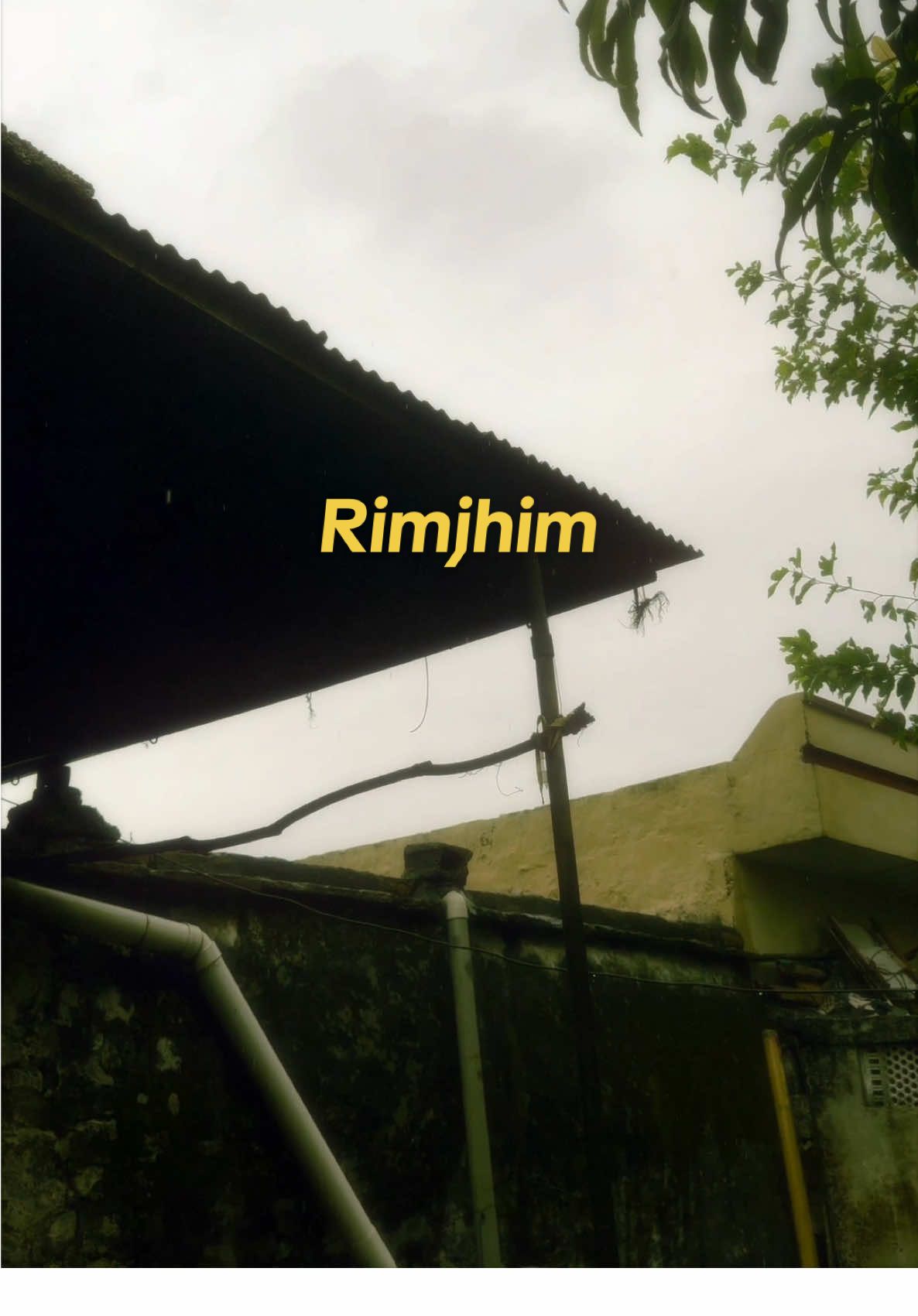 تیری قربت کے لمحے پھول جیسے، مگر پھولوں کی عمریں مختصر  #rain #winter #winterrain #cinematic #90s 