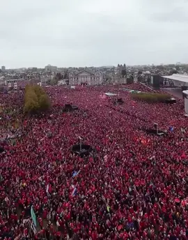 WOW! AMSTERDAM! 🇳🇱🇳🇱🇳🇱 Approx 250,000 people flood the streets wearing red in solidarity with Palestine 🇵🇸 #amsterdam #gaza #protests #arkadaş #keşfetteyizzz 