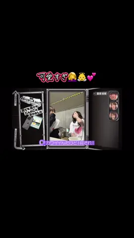 めっちゃ抹茶 全てが完璧なやんちゃん #金川紗耶