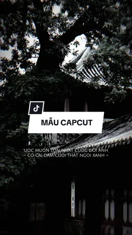 #CapCut Ước muốn lớn nhất cuộc đời anh có cái đám cưới thật ngời xanh #capcutmaster #xuhuong #nhachaymoingay 