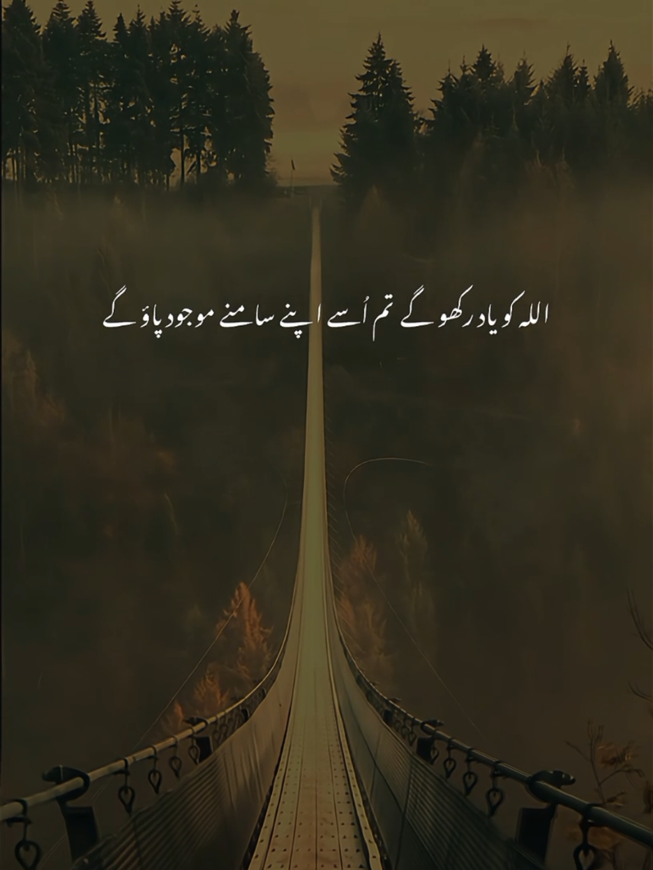 اللہ کو یاد رکھو گے تو اسے اپنے سامنے موجود پاؤ گے  | Dr Israr Ahmed | Emotional Clip . . . . #drisrarahmed  #dr_israr_ahmed_lectures  #dr_israr_ahmed  #drisrarahmedsahab #ummatti      