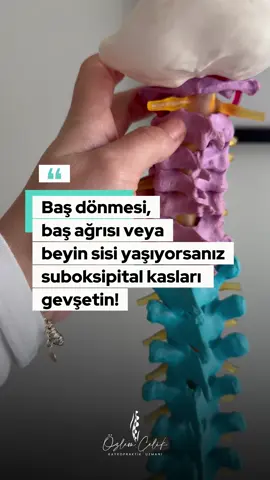 #başağrısı #başdönmesi #beyinsisi #kayropraktik #egzersiz 