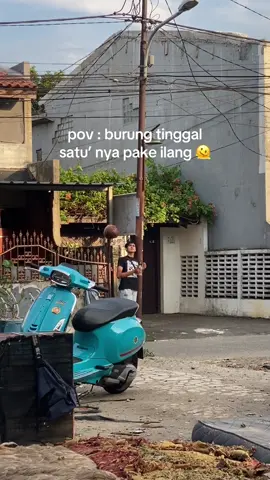 nice try🫠😭🥲 #merpatikolong #burungdara  #kolonganmerpati  #fypbca 