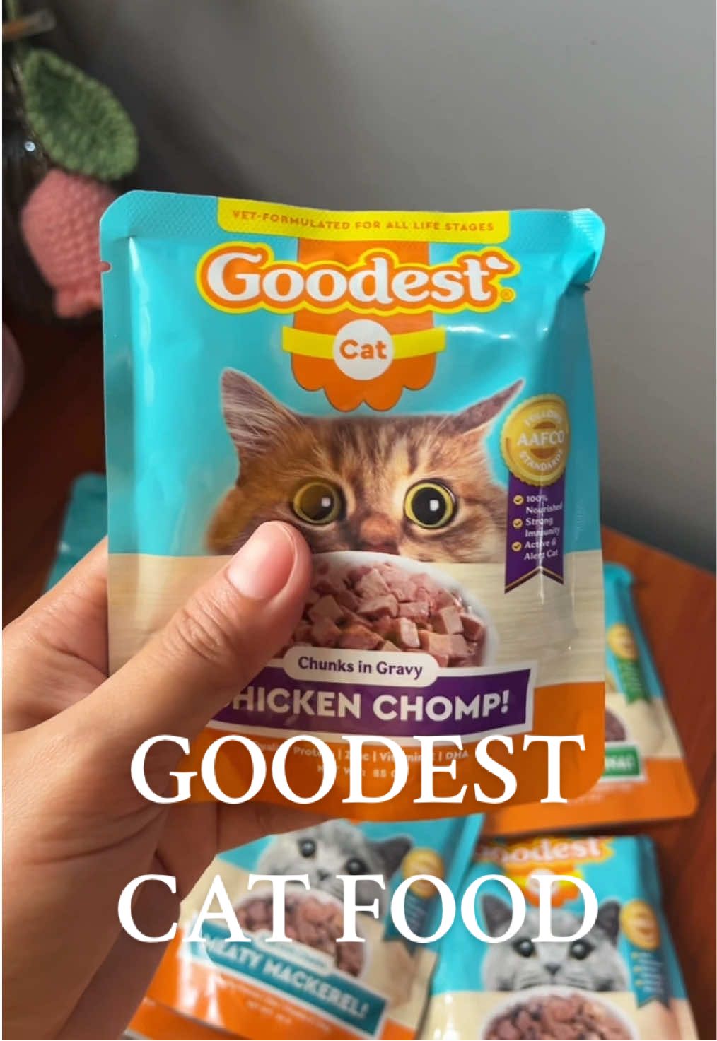 12 packs of Goodest cat food. Vet formulated and Good for all life stages. #catfood #goodestcatfood #wetcatfood #goodest #catlover 