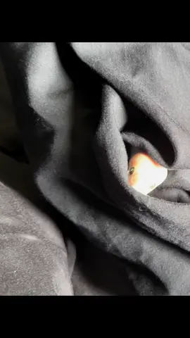 This is Baldr’s house now. We’re just living in it  #snake #snakesoftiktok #rainbow #boa 