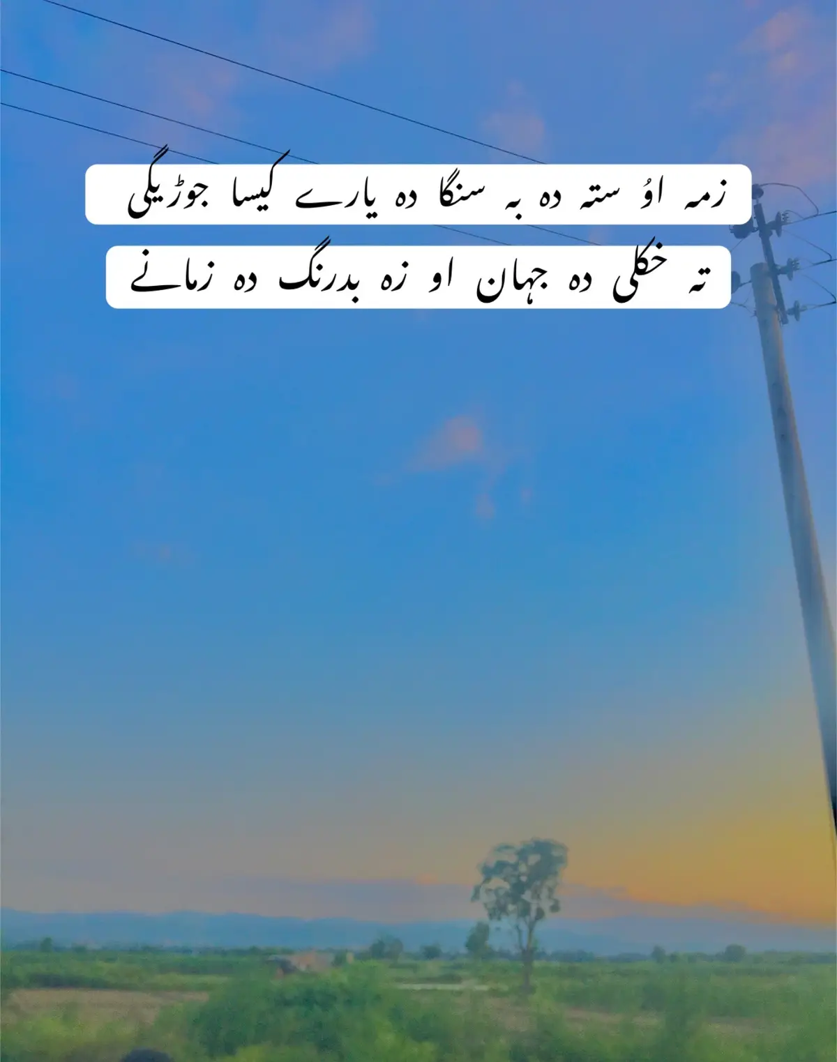 #500kviews #poshto_poetry #foryoupage 