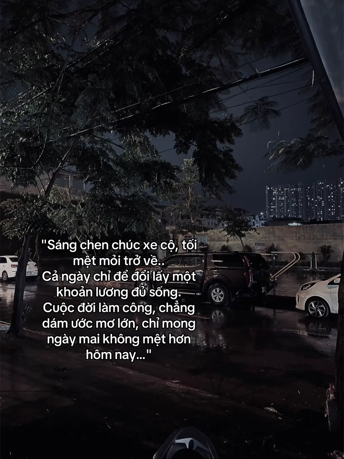 #pvd_van204 #xuhuong #tamtrang 