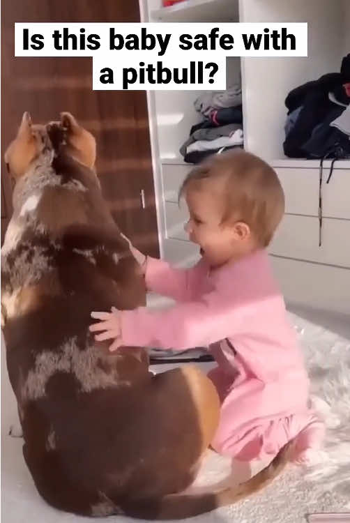 Best friends 🥰🥰🥰#dog #pet #baby #bestfriend #cute #funny #dogsoftiktok #foryou #usa🇺🇸 