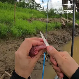 COMO PEGAR AS MELHORES ISCAS PARA O RIO DOS MONSTROS... #pesca #pescaria #baca #fishing