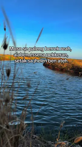 Gun tak ghileh pojur mad #fyp #katakatamadura #madurasad #foryou #madura 
