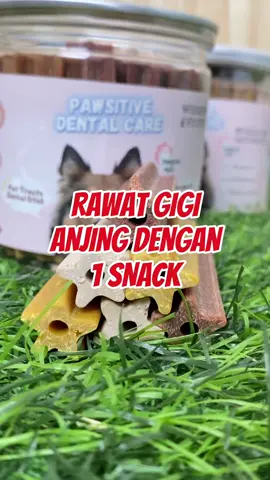 Jangan tunggu gigi anjing rusak atau nafasnya bau❌ segera kasih cemilan sehat ini untuk anjing kamu ya✅ #fyp #pawsitivevibes #kucinglucu #anjinglucu #dentalstick 