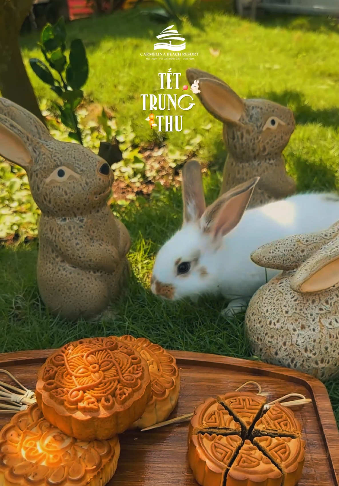Cầm tay, ăn bánh, uống trà - Trung thu trọn vẹn nghĩa là bên nhau. 🥮🐇##carmelinabeachresort##hotram##resort##trending