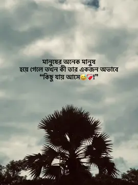 Vlo thako✨💖#fyp #foryou 
