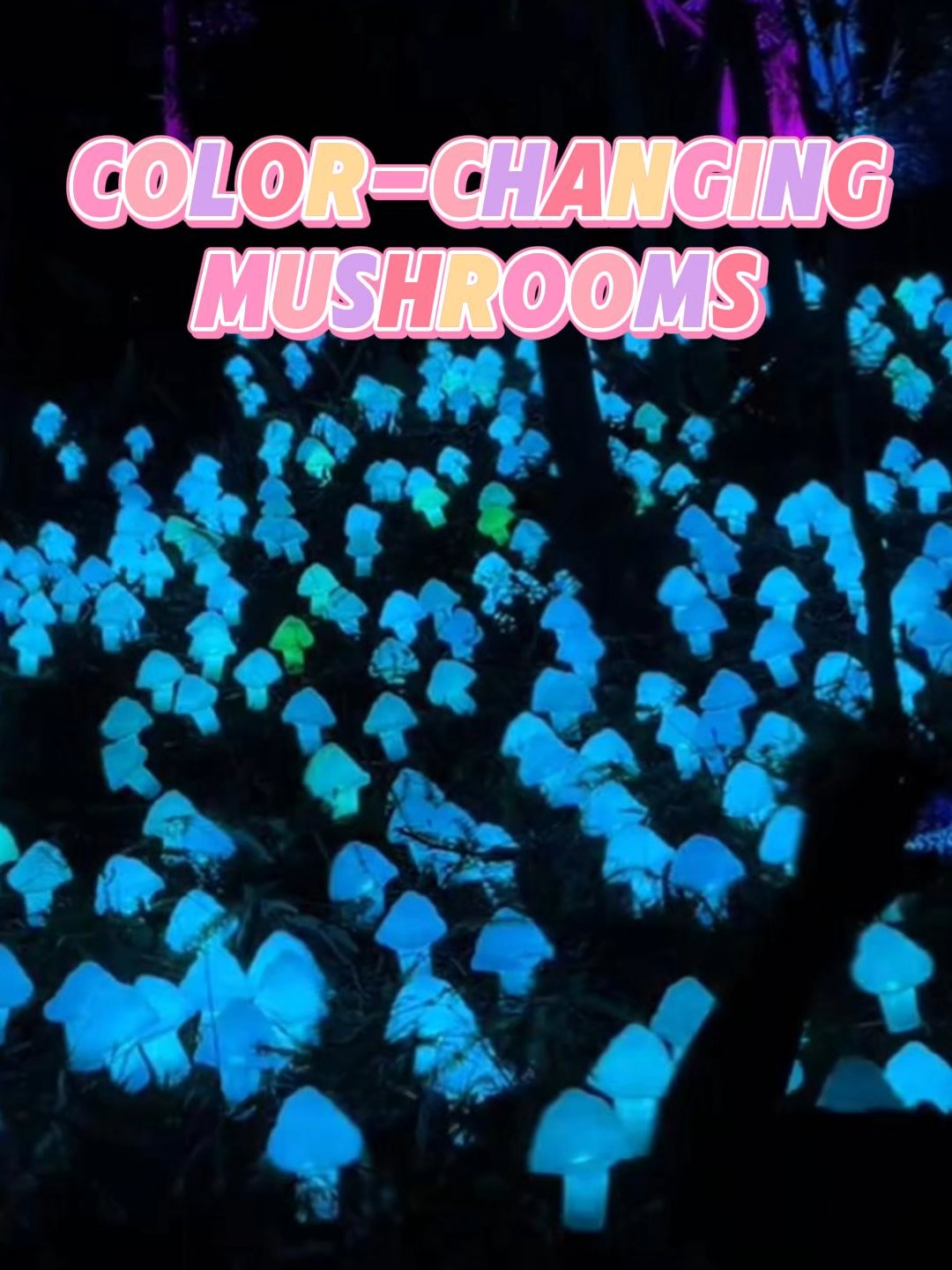 On October 1, Harry Potter: The Forbidden Forest Experience officially opened at Niuhu Shuibi Trail in Longhua, Shenzhen! Here, you can discover magical mushrooms that change color with a wave of your wand. Come and begin your enchanted adventure! #Shenzhen #Longhua #HarryPotter #Fyp