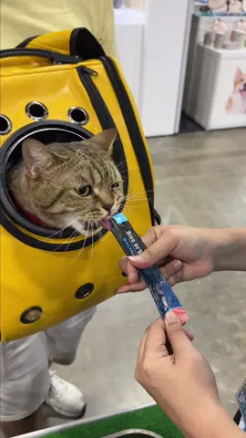 Huge thank you to everyone who showed us love at MITEC last weekend! 💚 We had an amazing time meeting all of you (and your furry friends 🐾). Catch us again this weekend at Taman Desa ParkCity for another round of fun with Oh My Pet Expo! 🎉