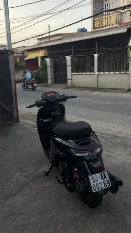 Stylô và buổi chiều tà #stylo 