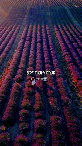 Sirf Tujhy Piyar Karny Ke liye 🌺🍃🍂🎋🎧🖇 ||REPOST RQST 🥀 #foryoupage #foryou #magsi_typist5 #trending #fypシ゚ @TiktokPakistanOfficial @PakistanTiktokOfficial 