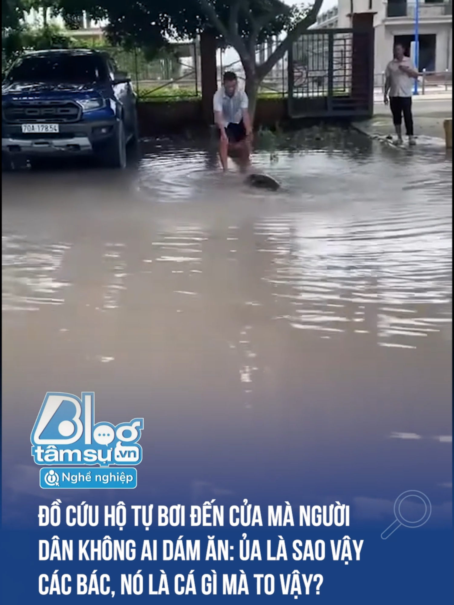 Cá gì mà to vậy các bác #btsmedia #blogtamsu #funfact #xuhuong #haihuoc #discover #viral #ca