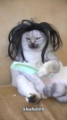#粉丝一千万#cat#funny#viral#fyp 