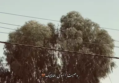 وصيت الهوى 🤎.  #تصويري #شاشة_سوداء🖤 