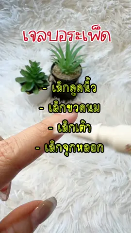 #เจลบอระเพ็ด#เจลบอระเพ็ดทามือเด็ก #เจลบอระเพ็ดไออุ่น 