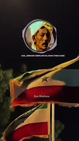 #abwaan timo cade#followme #foryourpage #somalitiktok #somalilandtiktok💚🤍❤ 