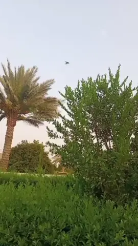 #pppppppppppppppppppppppppppppppppppppppp 