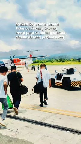 #kopi #cowosulawesi #fypkaili #kopi #pongoro 