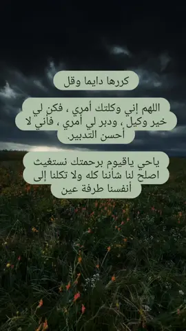#moroccoo#morocco#humor#morocco#humor