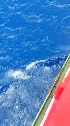 Tobelo and sea ​​view🌊🚢 #tobelo #lagutimur #perantau #pelayaranindonesia #pelautpunyacerita 
