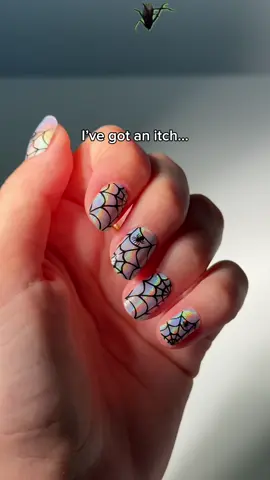 Who else has the itch?🕷️ October = Halloween Nails… Design: Iridescent Spider #halloweennails #halloweennailart #holygels #gelnailstrips 