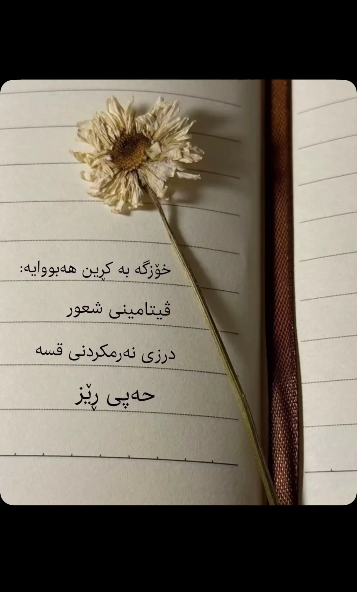 #hawler_slemani_dhok_karkuk_hallabja 