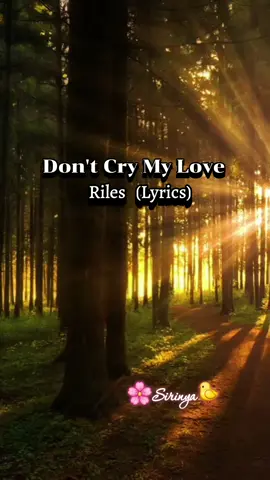 Don't Cry My Love - Riles (Lyrics)  #dontcrymylove #riles #lyrics #fyp #🌸Sirinya🐤📷🌈☁️🎵🎶🎧🇹🇭 @โก๋ นกแข่ง @🌸Sirinya🐤📷🌈☁️🎵🎶🎧🇹🇭 @🌸Sirinya🐤📷🌈☁️🎵🎶🎧🇹🇭 