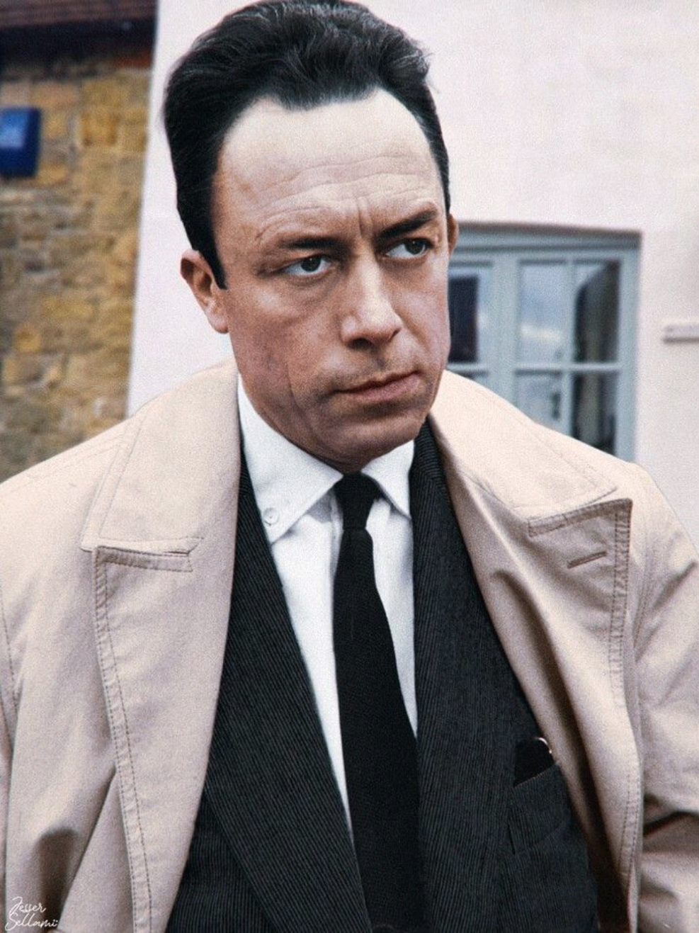 Albert Camus is sublime! #albertcamus #camus #philosophy #absurdism #literature 