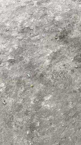 jangan janji² terus😭 #fyp #bismillahfyp #vario125new #foryoupage #VARLIFE🥶 