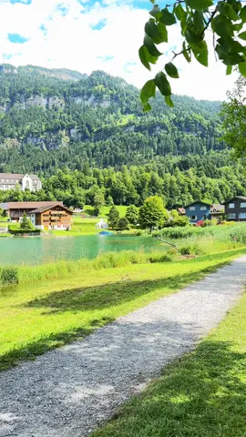 🇨🇭🇨🇭🇨🇭