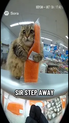 Caught on Bodycam: 