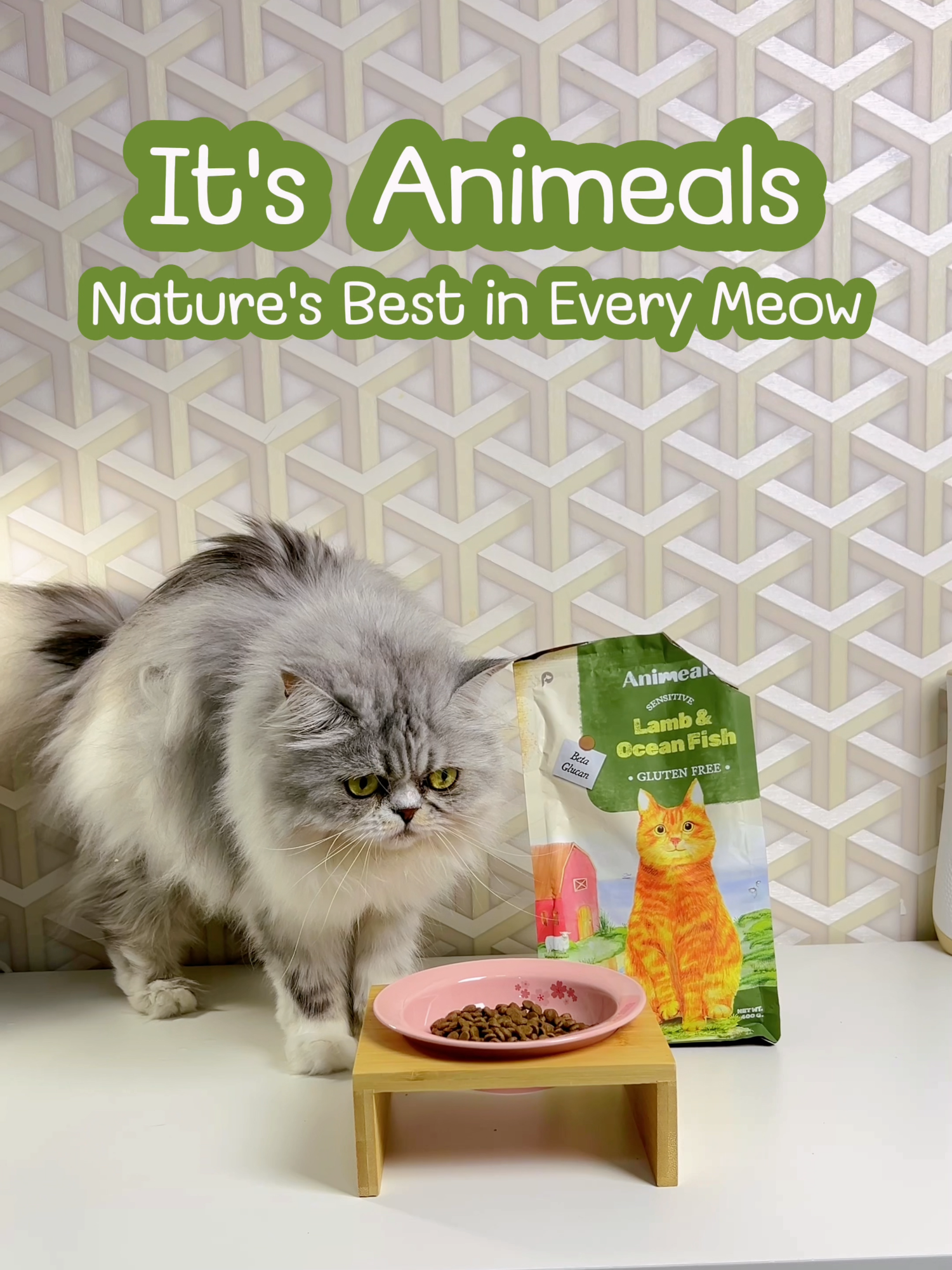 ✨ ตั้งแต่ลองให้ Animeals 🐱 น้องแมวที่บ้านเปลี่ยนไปจริง ๆ ขนฟูนุ่ม สุขภาพแข็งแรง กินเกลี้ยงทุกมื้อ #คัดสรรจากธรรมชาติมื้อเหมียวต้องAnimeals ​ #FromFarmtoBowl #อาหารแมว #แมวสุขภาพดี