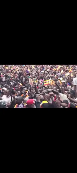 #ulanyirobertssentam #ulanyirobertssentam #ulanyirobertssentam #kyagulanyirobertssentamu4better #kyagulanyirobertssentamu4 @Bobi Wine @Joel Ssenyonyi 