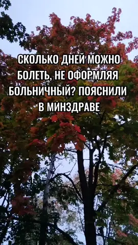 #беларусь #новостибеларуси 