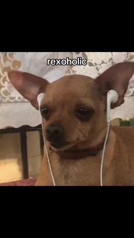 me everyday #rexorangecounty 