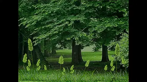 nhạc sống bốc lửa hay nhất 