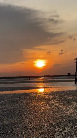 Bữa cơm đạm bạc