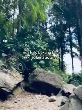 #quotesmanado #manadostory #gorontalo #kotamobagu 